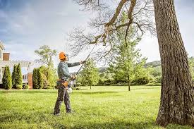 Best Lawn Renovation and Restoration  in Beattystown, NJ